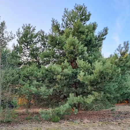 Feriehus 1 Bedroom In *