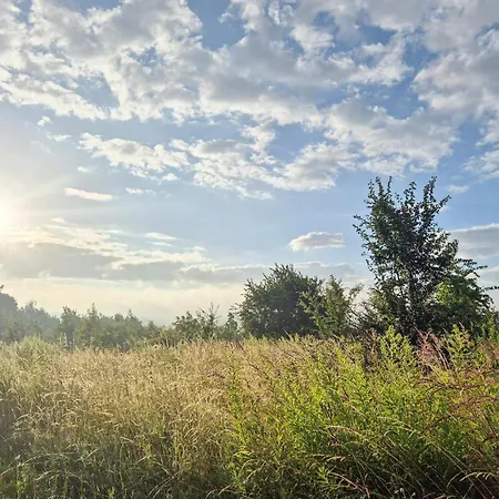 1 Bedroom In Feriehus Płock