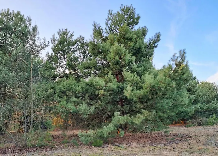 Vakantiehuis 1 Bedroom In *