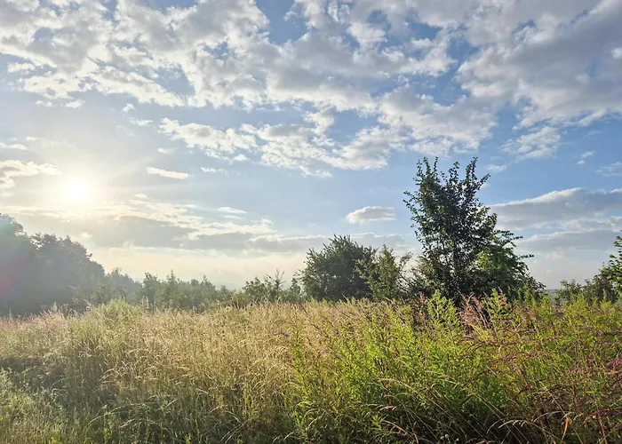 1 Bedroom In Vakantiehuis Płock